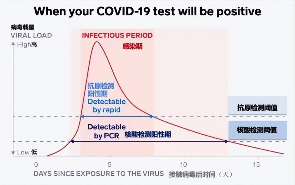 新冠陽了后，抗原需要天天做嗎？一看你就明白