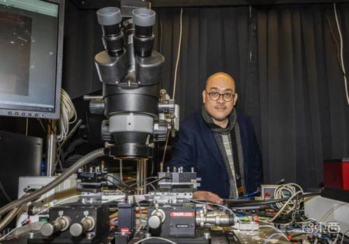 科學家研發新型光子芯片 用聲波有效抗噪,突破數據傳輸瓶頸