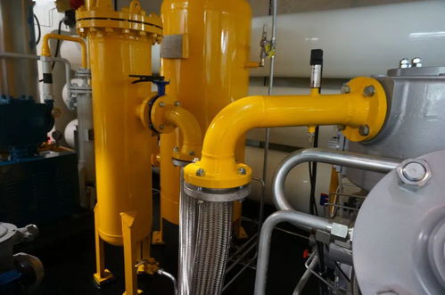 這次疫境逆襲,漂亮