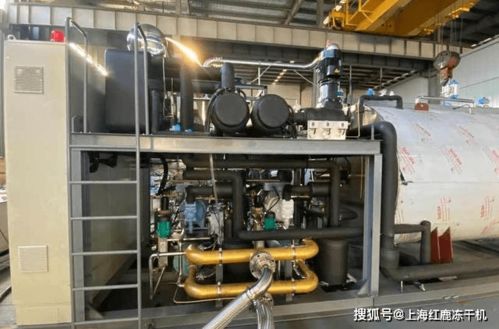 新型食品真空冷凍干燥機