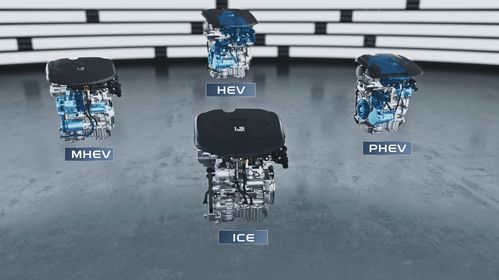 15年后無純燃油車 新能源技術路線2.0 發布 這家車企眼光太牛了